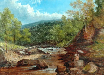 Posforth Ghyll, Boschi di Bolton